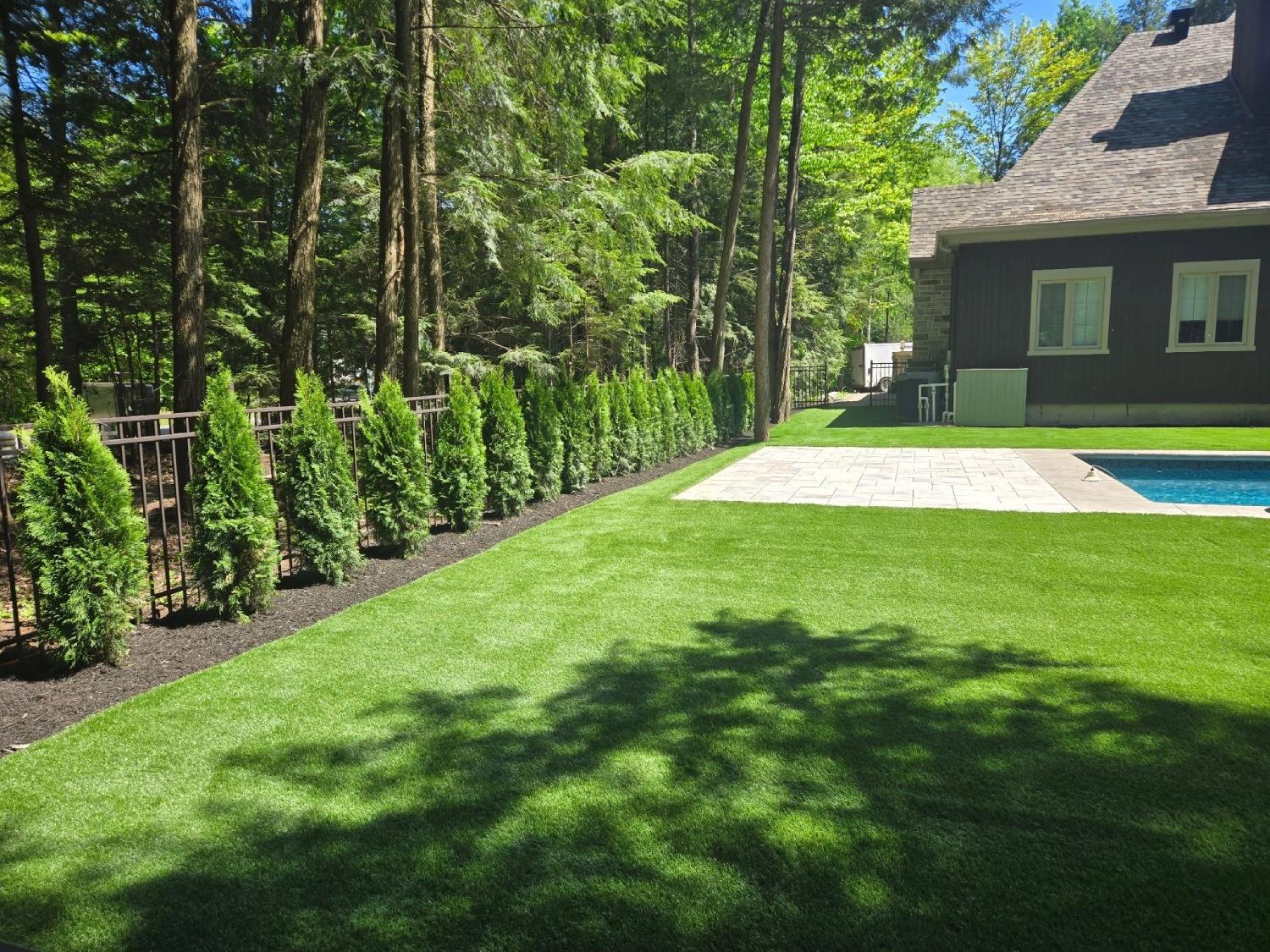 Residential backyard with artificial grass lawn, swimming pool, privacy trees, and landscaped outdoor space in a wooded setting