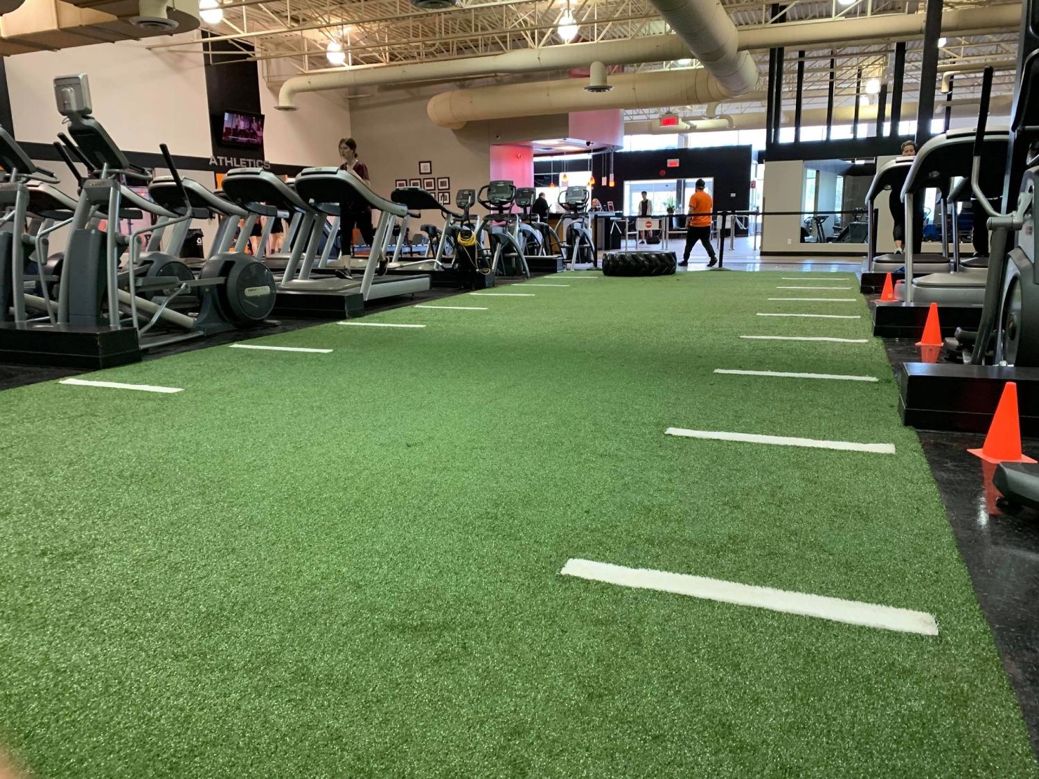 indoor-gym-artificial-turf-training-area